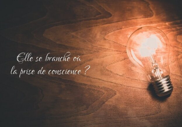 Prise-de-conscience Prise-de-conscience