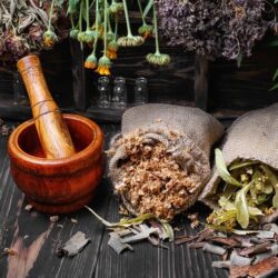 troubles-digestifs-essayez-la-phytotherapie_carre troubles-digestifs-essayez-la-phytotherapie_carre
