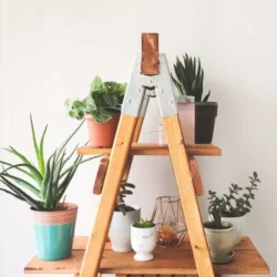 etagere plantes